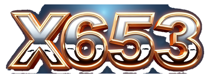 x653 logo